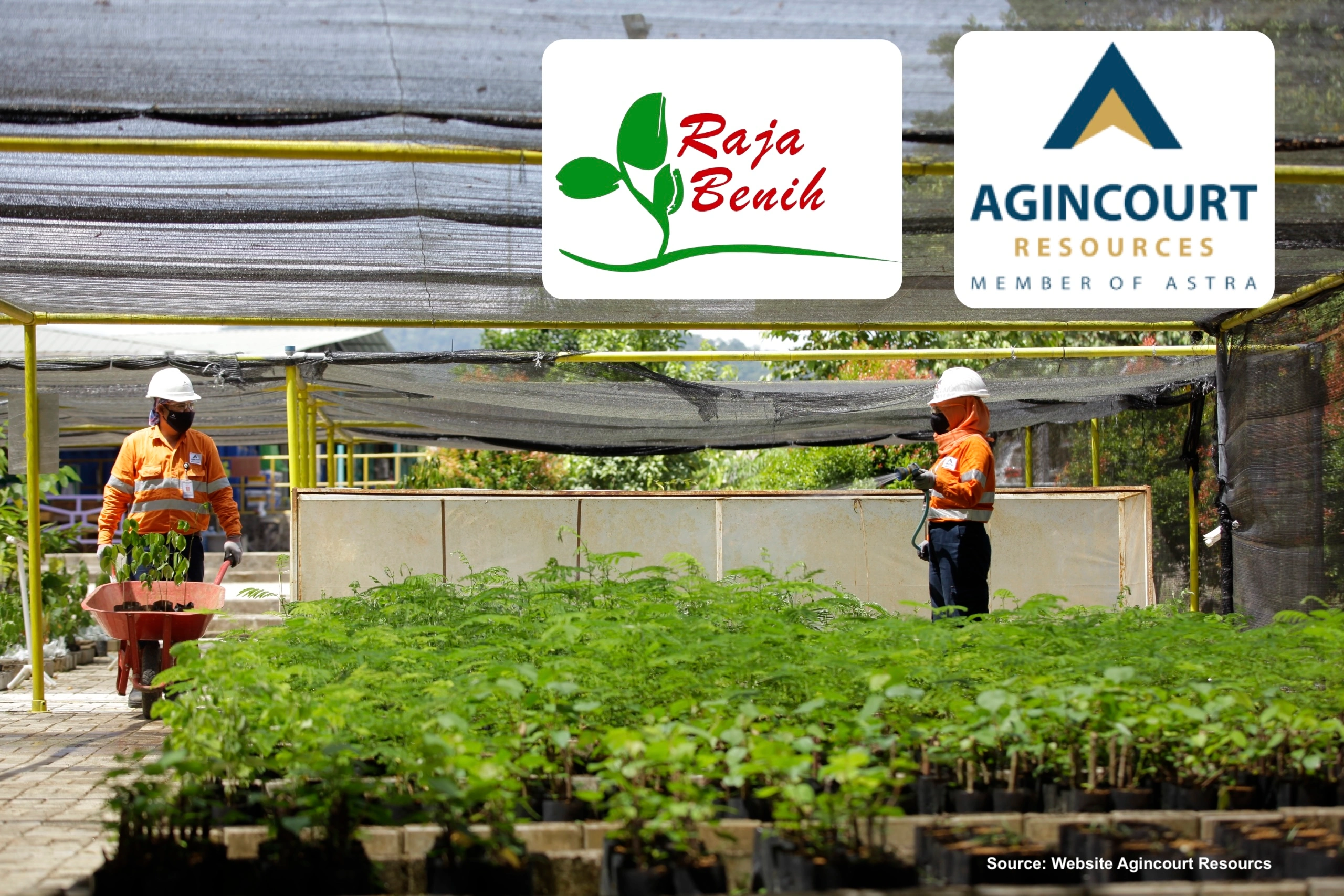 Raja Benih Dukung PT Agincourt Resources (Member of Astra) dalam Program Rehabilitasi Tambang Emas Martabe